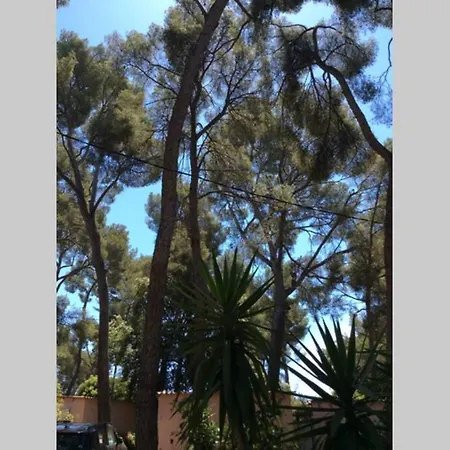 Cabanon A Sur Au Coeur De Portissol. Holiday home