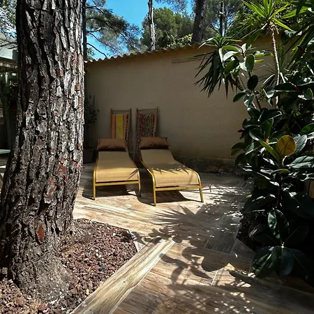 Cabanon A Sur Au Coeur De Portissol. Sanary-sur-Mer