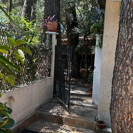 Holiday home Cabanon A Sur Au Coeur De Portissol.